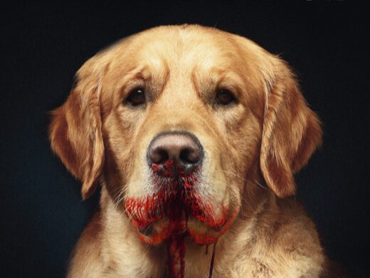 Veckans boktips: Parasiten och 11 andra rysare.